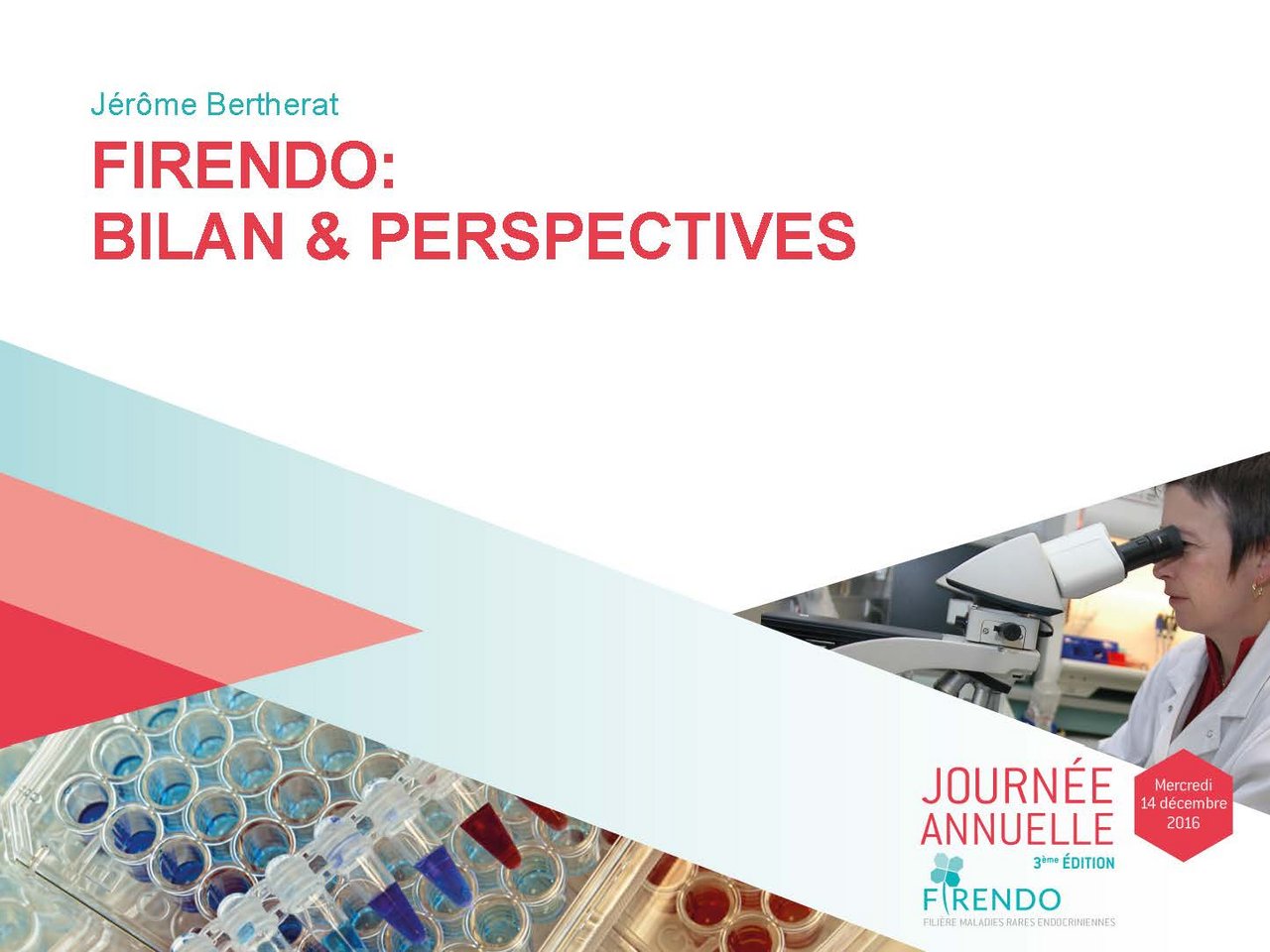 Jérôme Bertherat Bilan Perspectives de FIRENDO