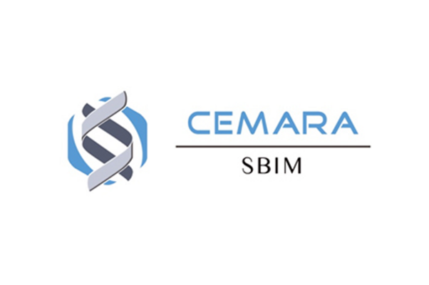 Visuel en provenance du SBIM, Service informatique, Necker : Logo et titre "CEMARA"