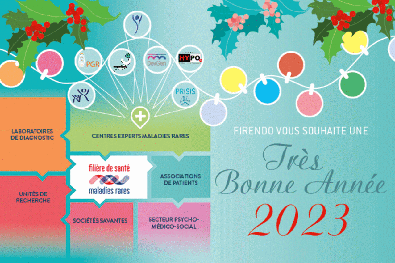 Animation GIF autour du message "Très bonne année 2023 vous souhaite FIRENDO, celle des 23 filières de santé entièrement dédiée aux maladies rares endocriniennes !"