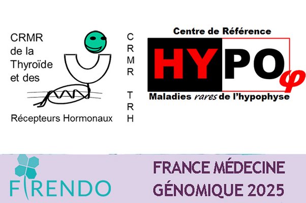 Logo RCP thyréo-Hypophyse