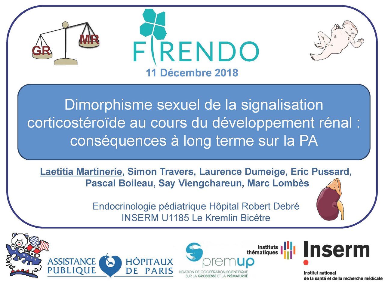 Visuel pour Laetitia Martinerie "Dimorphisme sexuel de la signalisation des corticostéroïdes au cours du développement rénal "
