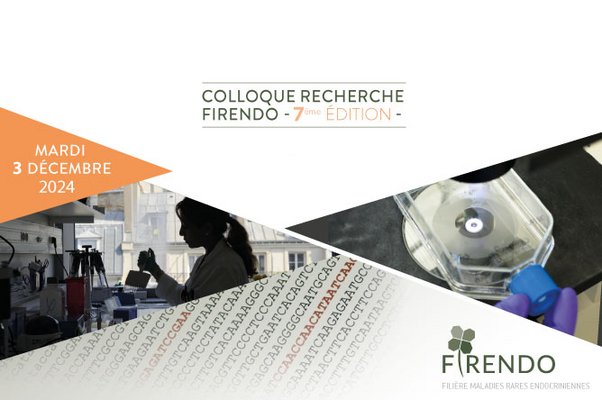 Visuel provisoire du Colloque Recherche 2024 FIRENDO