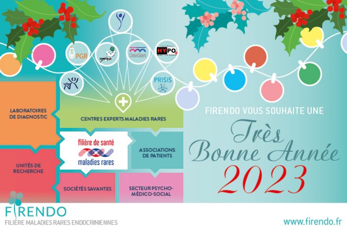 Visuel des voeux 2023 de la filière FIRENDO avec le message "Très bonne année 2023 vous souhaite FIRENDO, celle des 23 filières de santé entièrement dédiée aux maladies rares endocriniennes !"