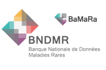 Visuel Logos BaMaRa et BNDMR