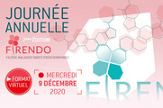 Journée Annuelle FIRENDO 2020 9 décembre format virtuel