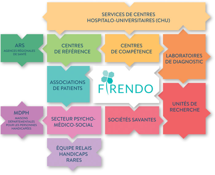 Puzzle FIRENDO filière rare maladie endocrinienne CRMR FSMR CCMR référence compétence centre