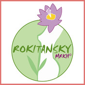 Association MRKH, Syndrome de Mayer-Rokitansky-Hauser
