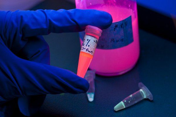 mail gant tube liquide fluorescent paillasse laboratoire recherche fondamentale traitement médicament 