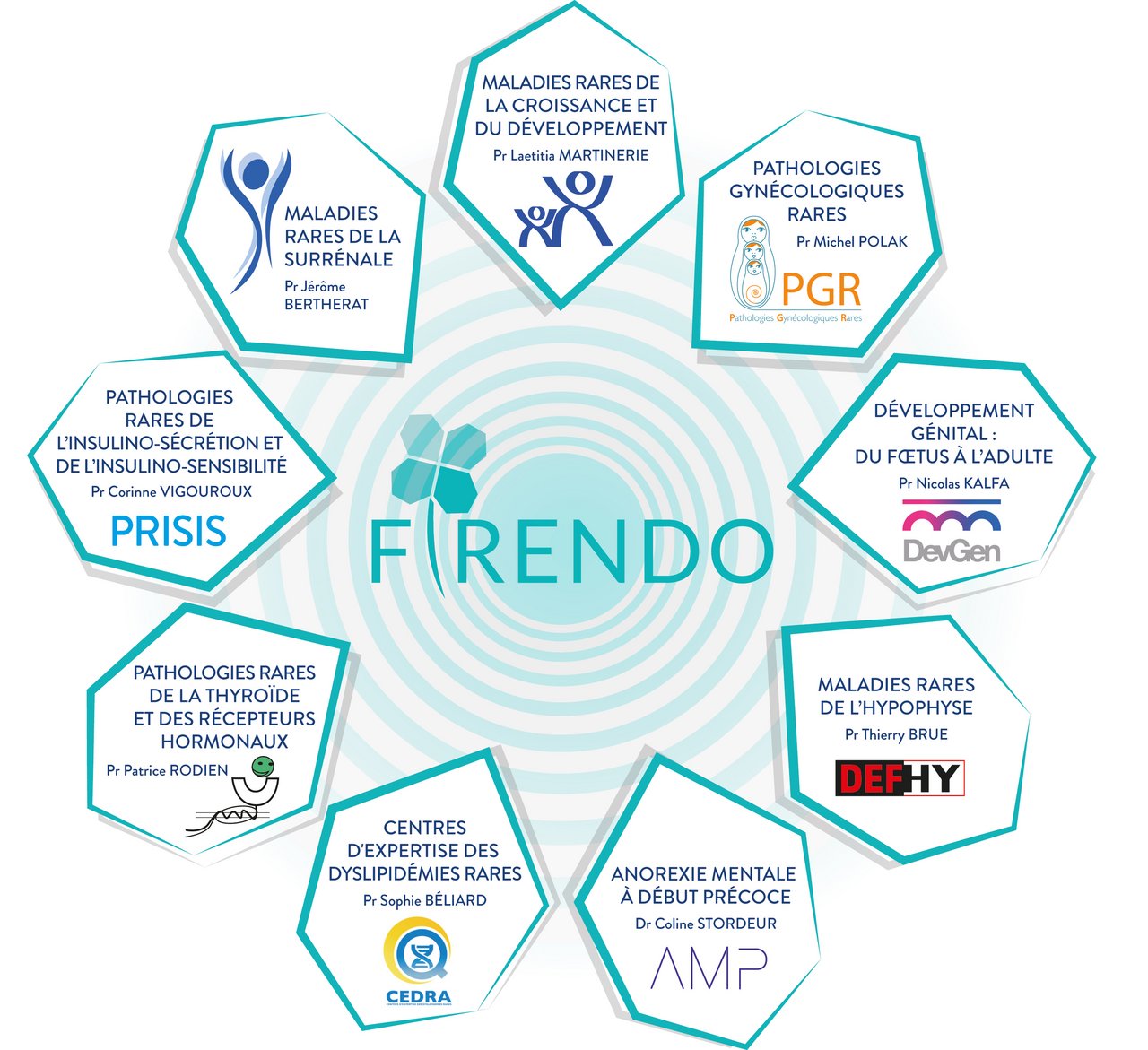 Visuel représentant les 9 catégories des maladies rares endocriniennes au sein de FIRENDO