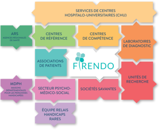 FIRENDO_Puzzle_firendofr.png