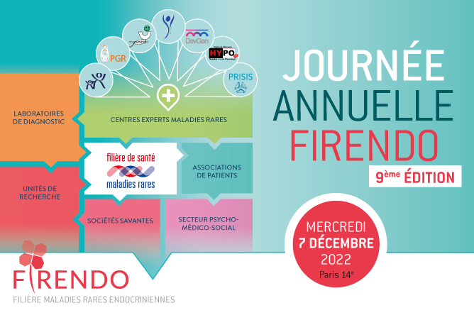 Visuel de la Journée Annuelle de la filière FIRENDO 2020 le 7 décembre 2022