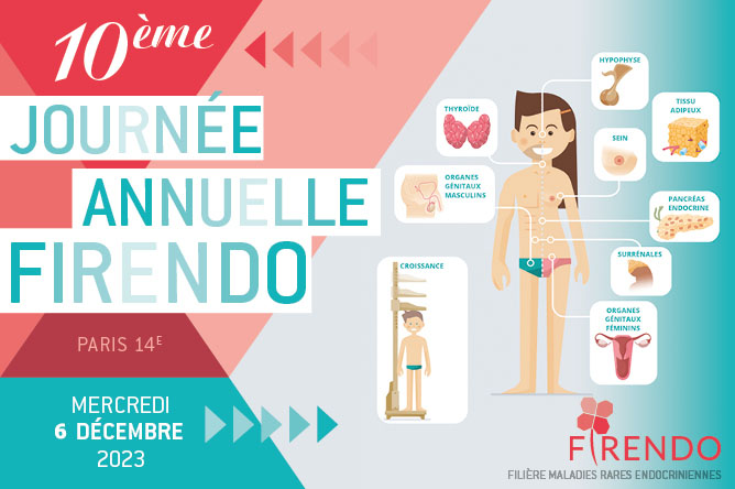 Visuel Journée Annuelle FIRENDO 2023 6 décembre