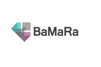 Logo de la Banque Nationale des Données Maladies Rares BNDMR et sa base BaMaRa