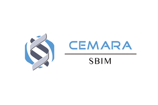 Visuel en provenance du SBIM, Service informatique, Necker : Logo et titre "CEMARA"