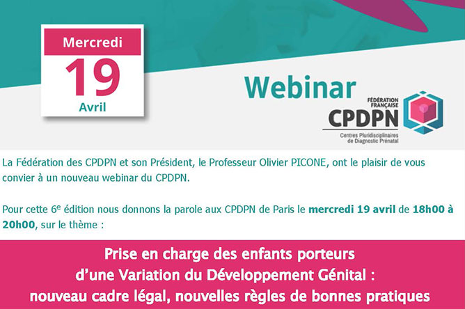 Visuel webinaire CPDPN sur l'état civil des enfants avec VDG avril 2023