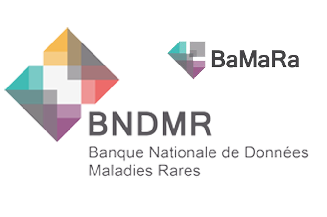 Visuel Logos BaMaRa et BNDMR