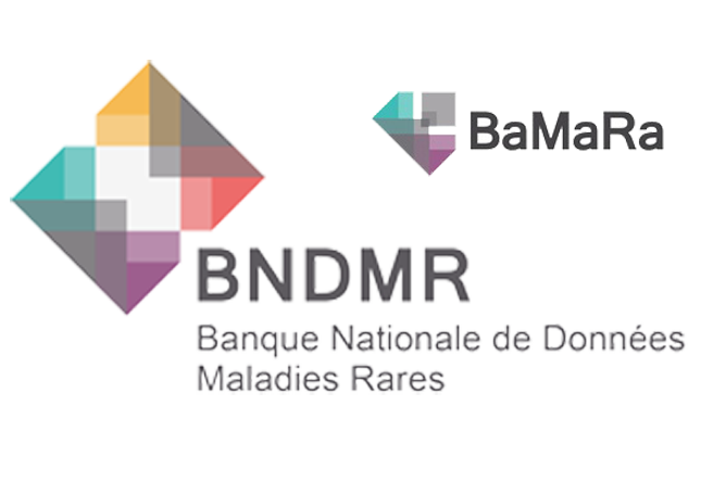 Logos BNDMR et BaMaRa