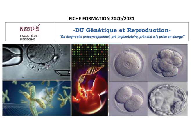 Viseul pour le Diplôme universitaire "Génétique et Reproduction" à l'Université Paris Saclay : cellules en fecondation, manpulation d'ADN, etc