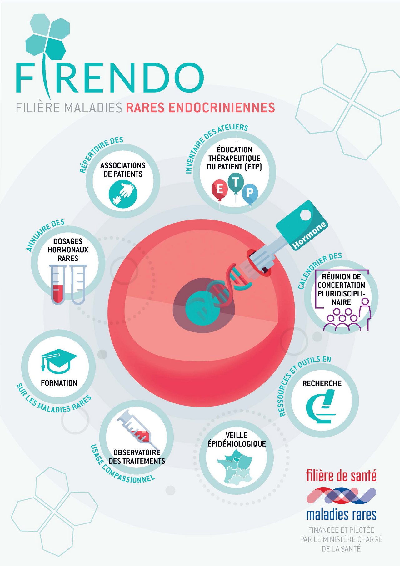 Plaquette Filière Maladies Rares Endocriniennes FIRENDO téléchargement