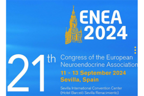 Visuel ENEA 2024