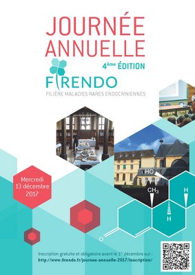 FIRENDO_ProgrammeJourneeAnnuelle2017_bdef_une.jpg