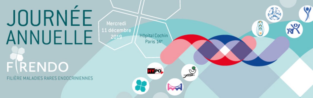 Visuel pour la Journée Annuelle FIRENDO 11-12-2019