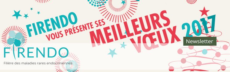 Voeux carte Nouvel An 2017 filière FIRENDO maladies rares endocriniennes