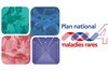 Visuel de la couverture du Plan National Maladies Rares 4