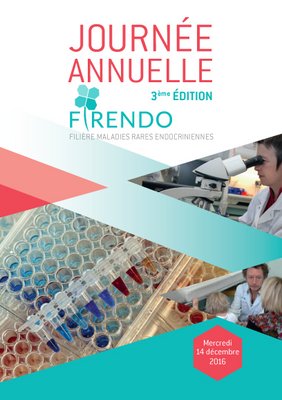 FIRENDO_ProgrammeJourneeAnnuelleEd20161.jpg