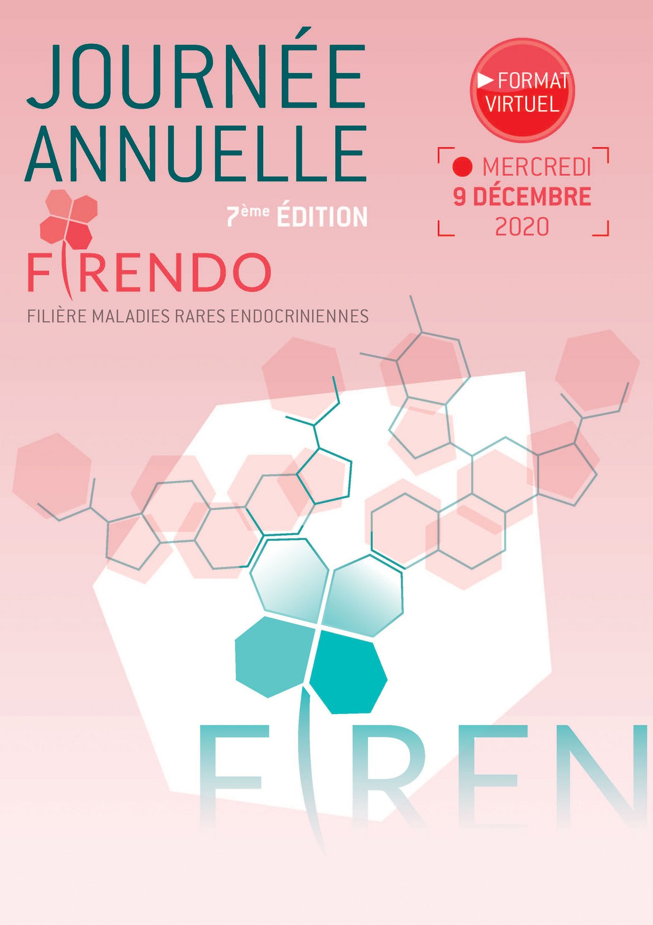 Poster du visuel de la Journée Annuelle FIRENDO 2020 le 9 décembre