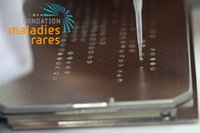 appel projets Fondation Rares GenOmics s&eacute;quen&ccedil;age haut d&eacute;bit FIRENDO NGS