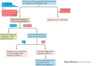 Aperçu de l'arbre de décision du diagnostic du syndrome de Silver Russell. Wakeling, E. L. et al. (2016) Diagnosis and management of Silver–Russell syndrome: first international consensus statement Nat. Rev. Endocrinol. doi:10.1038/nrendo.2016.138 prise en charge, Silver Russell, diagnostic, score