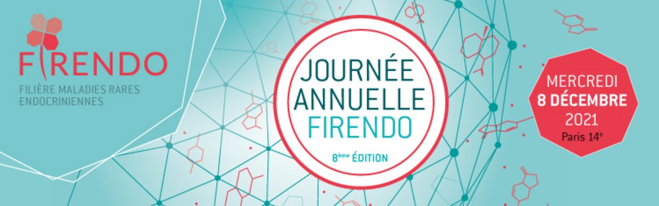 Visuel Journée Annuelle FIRENDO 2021