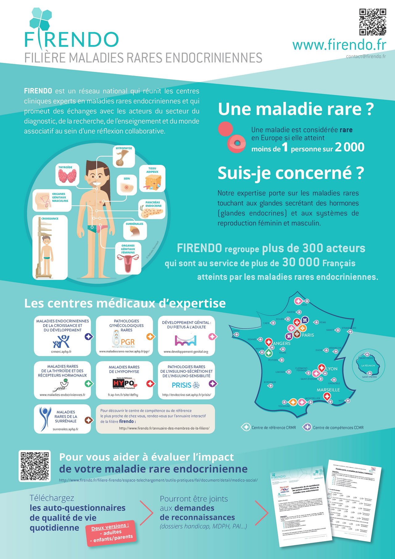Affiche Filière Maladies Rares Endocriniennes FIRENDO téléchargement