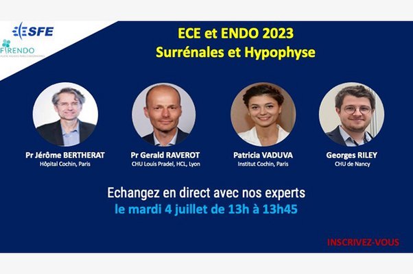 Webinaires de la SFE : ECE et ENDO 2023, Surrénales et Hypophyse