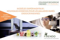 Visuel pour le Colloque recherche FIRENDO. Cr&eacute;dit photo : Inserm/Latron, Patrice ; Delapierre, Patrick