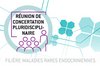 Logo provisoire RCP VDG