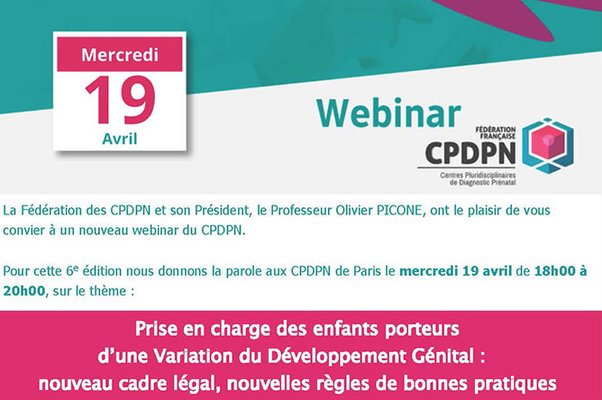 Visuel webinaire CPDPN sur l'état civil des enfants avec VDG avril 2023