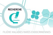 Visuel aborant une actualité en lien avec le poste de Chargé de mission scientifique FIRENDO 2026