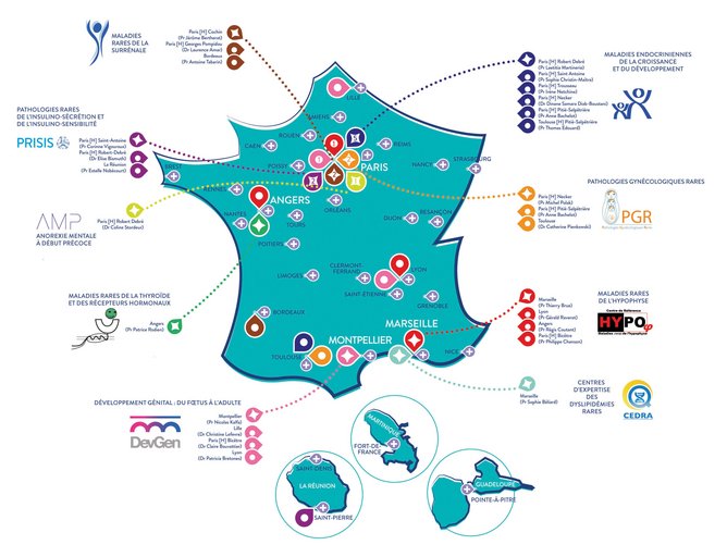 Carte de France avec la localisation de tous les centres de référence et de compétence FIRENDO en fin 2023