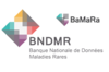 Visuel Logos BaMaRa et BNDMR