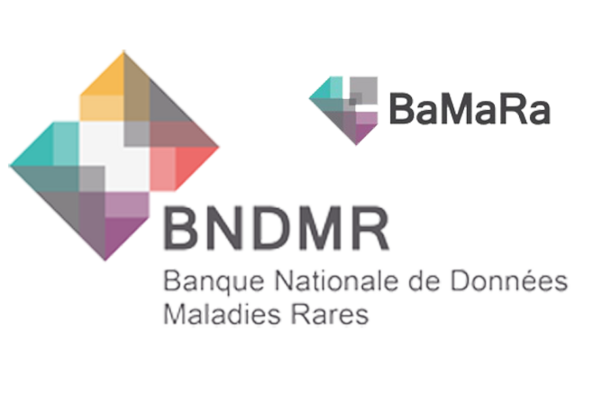 Visuel Logos BaMaRa et BNDMR