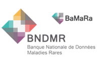 Visuel Logos BaMaRa et BNDMR