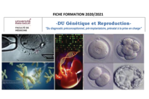 Viseul pour le Diplôme universitaire "Génétique et Reproduction" à l'Université Paris Saclay : cellules en fecondation, manpulation d'ADN, etc