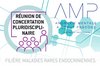 Logo RCP AMP