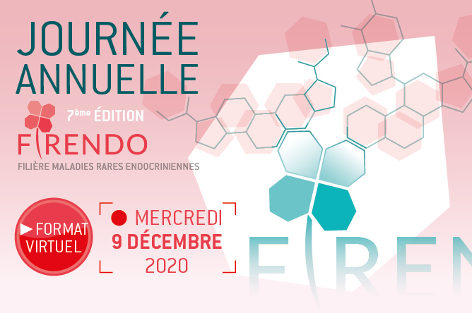 Journée Annuelle FIRENDO 2020 9 décembre format virtuel