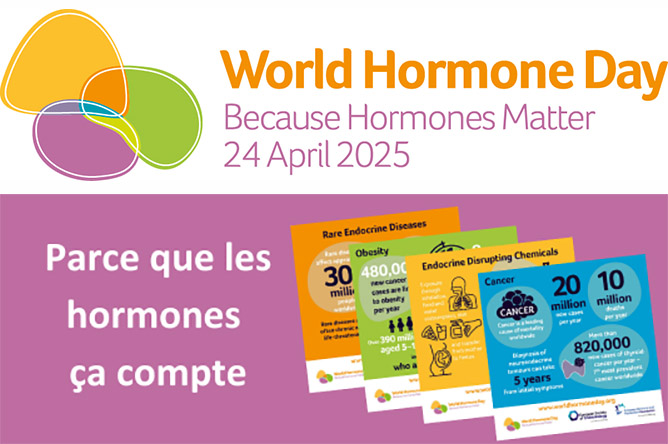 Logo de World Hormones day 2025 couplé à des cartes présenant les recommandations pour une meilleure santé hormonale avec slogan "Parce que les hormones, ça compte !"