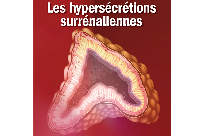 Visuel pour 6ème Journée scientifique Association surrénales 2019