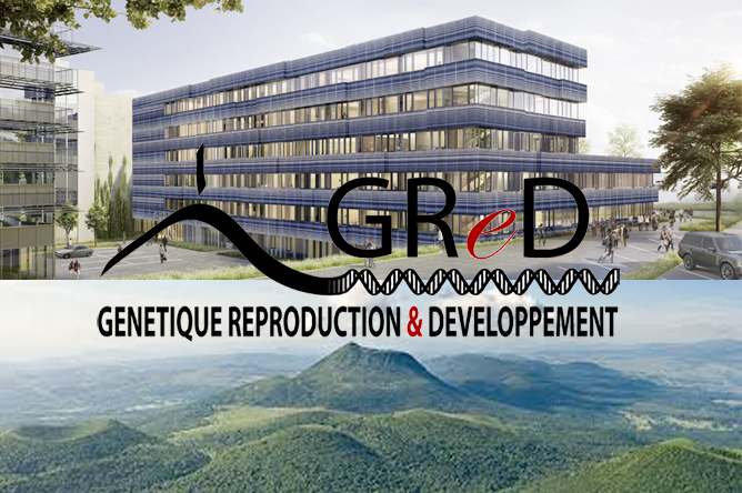 GReD FIRENDO maladies rares endocriniennes call group leader appel candidatures équipe filière recherche