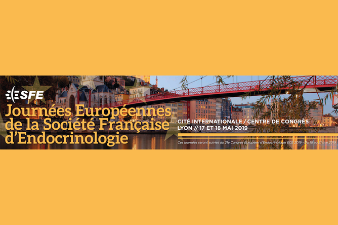 Visuel des Journ&eacute;es Europ&eacute;ennes de la Soci&eacute;t&eacute; Fran&ccedil;aise d'Endocrinologie (SFE) : Lyon 17-18 mai 2019